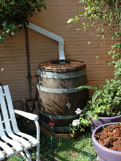 Rainbarrels collects rainwater from roof